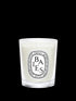 Baies / Berries Candle